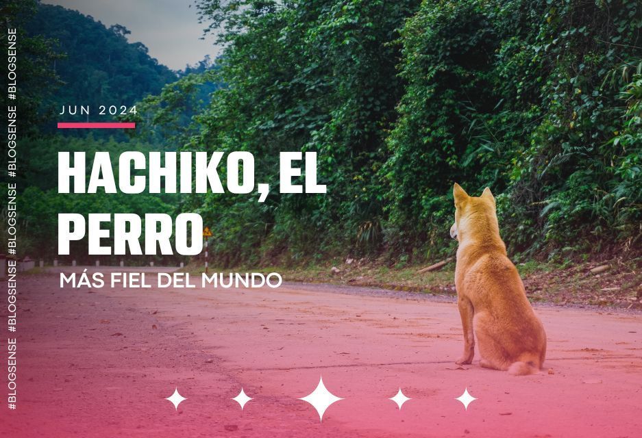 Hachiko, el perro más fiel del mundo